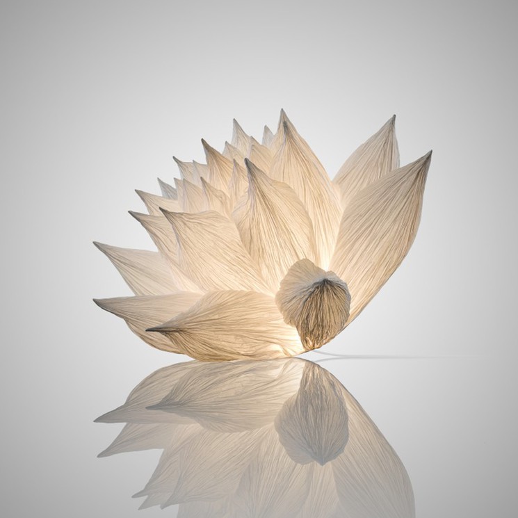 Lotus 50